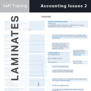 Accounting Issues 2 - Pensions Laminate