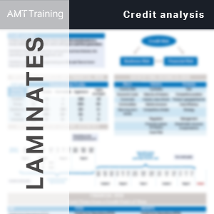Credit Analysis Laminate