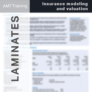 Insurance Company Modeling and Valuation Laminate