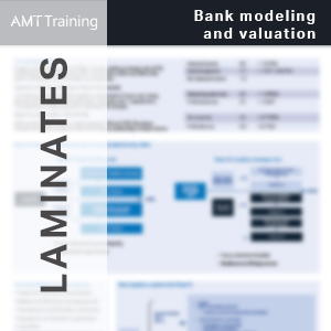 Bank Modeling and Valuation Laminate